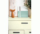 CHALK PAINT CP-37 APPLE GREEN